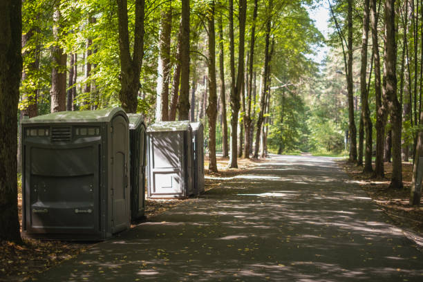 Portable Toilet Options We Offer in Laymantown, VA
